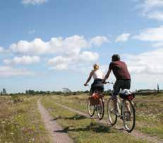 se Ottenbyguidning En guidning om Ottenbys natur och kultur. Vi vandrar runt i fyrbyn, kikar efter fågel och säl samt berättar om fyren Långe Jan och Ottenby naturreservat.