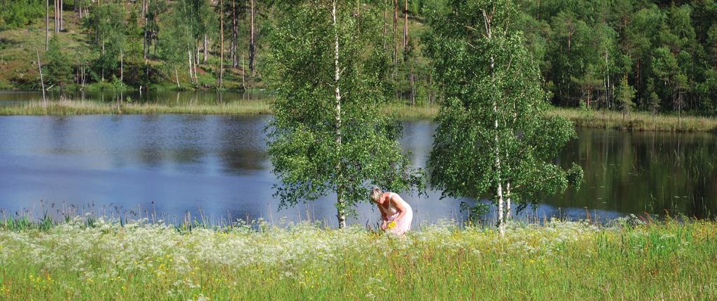 Syfte Syftet med planen är att ge stöd till verksamhetschefer i landstinget och kommunala chefer inom området i det systematiska förbättringsarbetet för att uppnå målen i den nationella