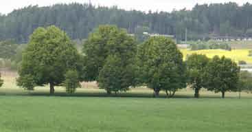 Upprättade naturreservat är Malmsjön, Själbottna-Östra Lagnö, Halsfambaken, Hallonstenarna, Storskär, Gälnan, Äpplarö, Kålgårdsön, Domarudden, Trehörningsskogen och Finnhamn.