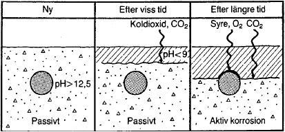 2.2 Armeringskorrosion på grund av karbonatisering Ny betong har ett högt ph-värde (> 12,5) som skyddar mot korrosion.