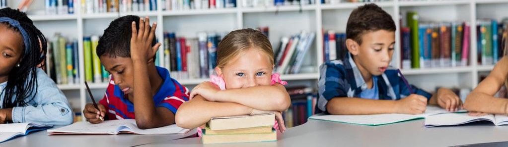 Handlingsplan för mottagandet av nyanlända elever Behov av stöttning ute på skolorna Olika