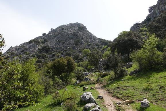 Sierra de Grazalema, Grazalema Ronda, 7 nätter 3(7) Dag 4 Villaluenga del Rosario Benaoján Efter frukost startar dagen med en kort transfer till närliggande byn Villaluenga del Rosario, varifrån du