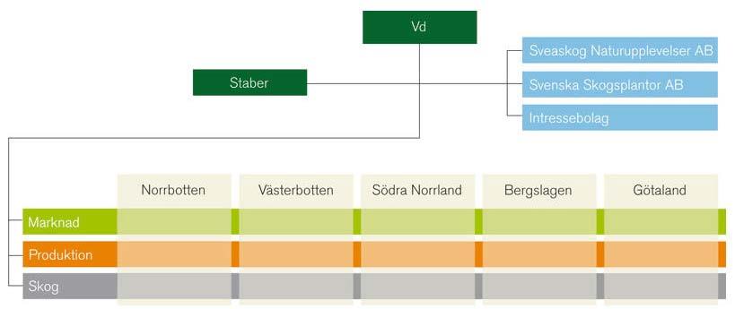 Figur 2. Sveaskog har en processinriktad organisation där de tre huvudprocesserna flyter över alla marknadsområden. Figure 2.