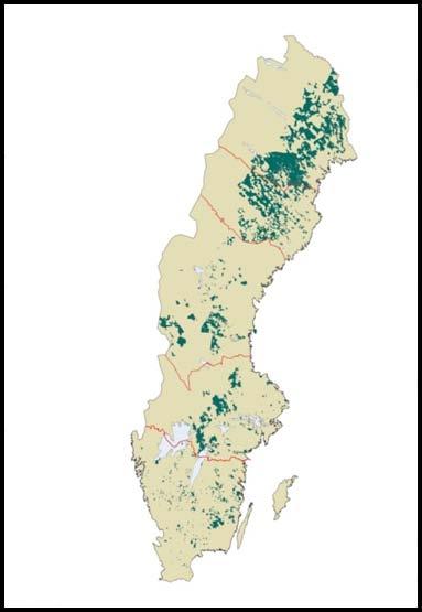 Tabell 1. Grotpotentialer vid slutavverkning i Sverige (Skogsstyrelsen, 2008a) Table 1.