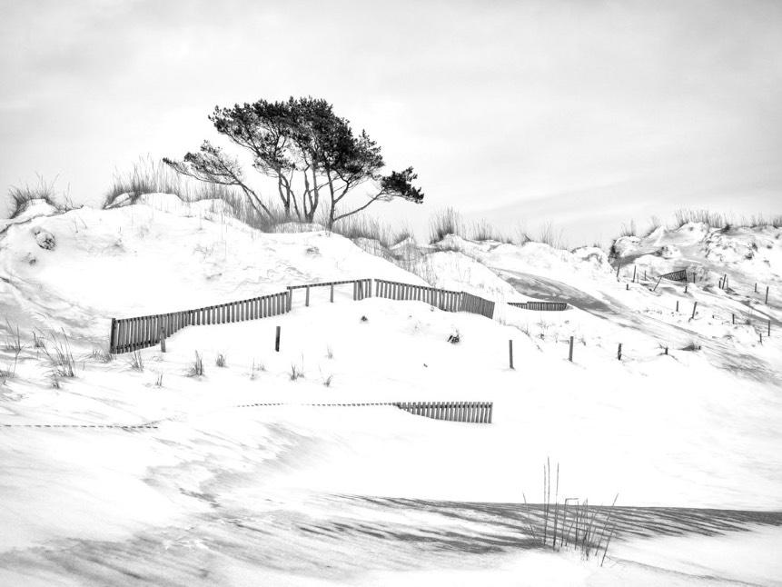 II Kristian Frantz: Nysnö på dynerna En jättefin bild.