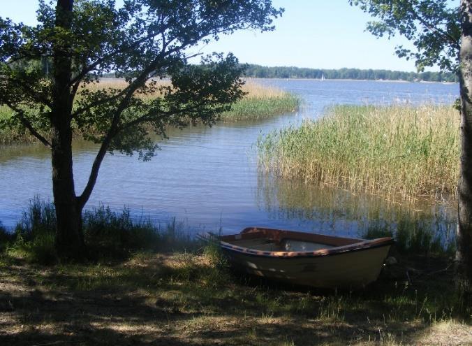 Dagläger Följ med till en stuga vid Ivösjöns strand där du kan Bada, Fiska, Paddla kanot, Spela bangolf (35:-/runda), Tipspromenad, Laga mat över öppen eld (eller inomhus) mm Avgiften avser resan,