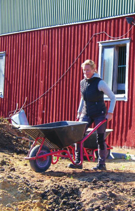 hästgårdar gles eller obeﬁntlig. Det bidrar till att åtgärdstakten är låg.