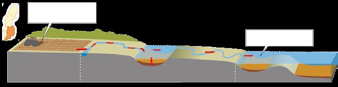 Så här har vi beräknat näringsläckage och åtgärdspotential Leråker Strukturkalkning av leråkrar i Norra och Södra Östersjöns vattendistrikt kan minska fosforbelastningen på Östersjön med 105 ton