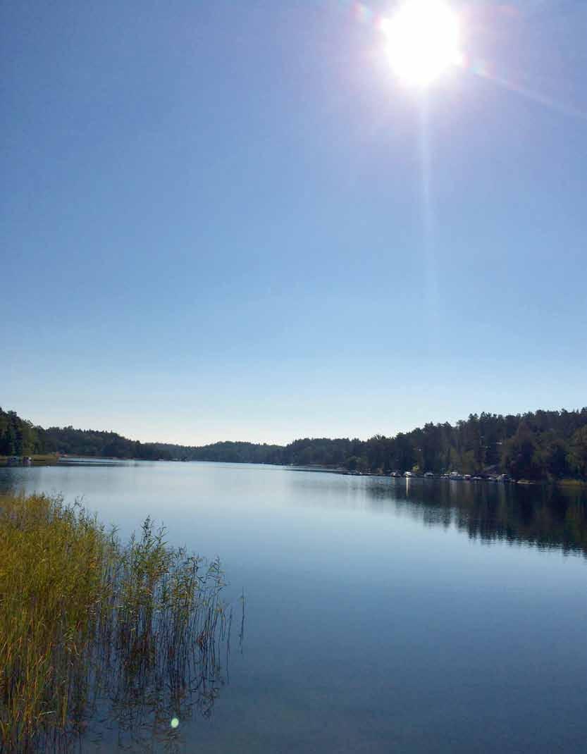 Levande kust ett fullskaligt restaureringsprojekt För sju år sedan var Björnöfjärden på Ingarö i Värmdö kommun en av Stockholms skärgårds mest övergödda fjärdar.