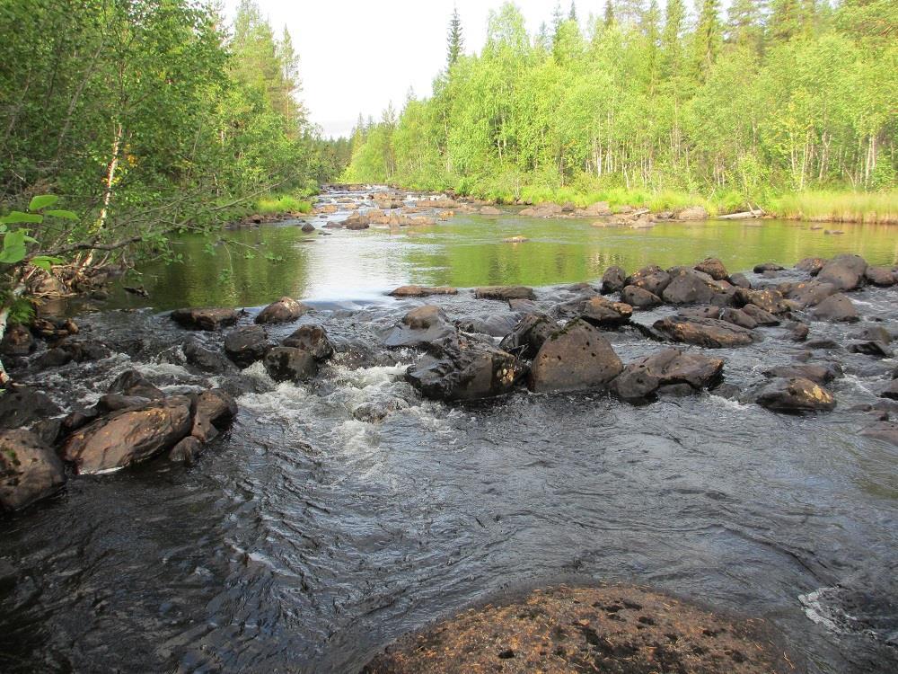 RAPPORT SVERIGES GEOLOGISKA UNDERSÖKNING, SGU Effektstudie Svärtträsk UPPDRAGSNUMMER 1673806000 VATTENKEMISKA OCH BIOLOGISKA