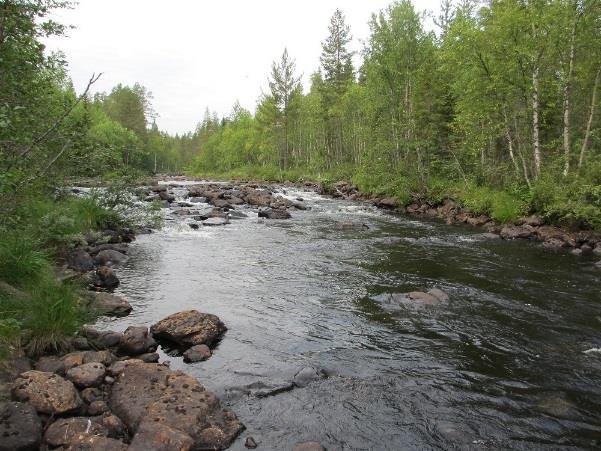 biologiska undersökningar och