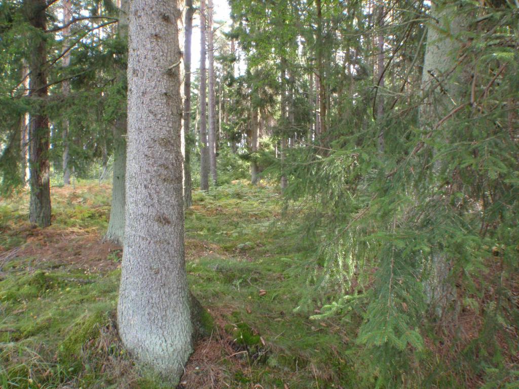 BOHUSGEO AB Kartåsen Lidens Lidköping Detaljplan Projekterings- Uppdragsansvarig: Mats Falck Handläggare: Bengt Leking Granskning: