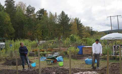 Nulägesbeskrivning Odling idag På flera platser i Falun finns sedan tidigare mark för den som vill odla grönsaker och andra växter.