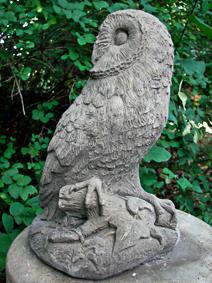 cm 7 kg Owl