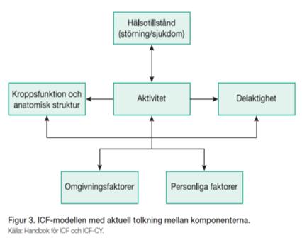 Förskrivning av ortos en systematisk process 1. Målsättning: Förbättrad gångförmåga 2. Behovsanalys 3.