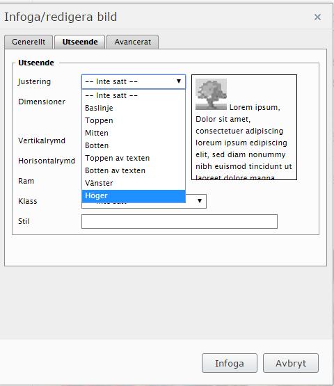 12. Om du vill placera bilden på ett särskilt ställe kan du via rutan Infoga/redigera bild välja Utseende, där du exempelvis kan välja att bilden ska ligga till höger på sidan.