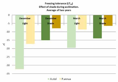 (1998) förklarade hur ljus och temperature tillsammans kontrollerar härdningsprocessen och våra försök har vekligen visat hur skadligt skugga kan vara för grönytor.