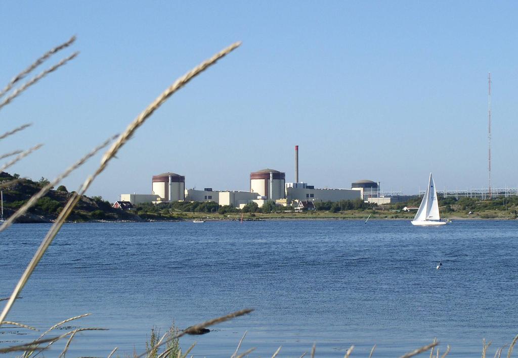 Välkommen till årets sommarträff!