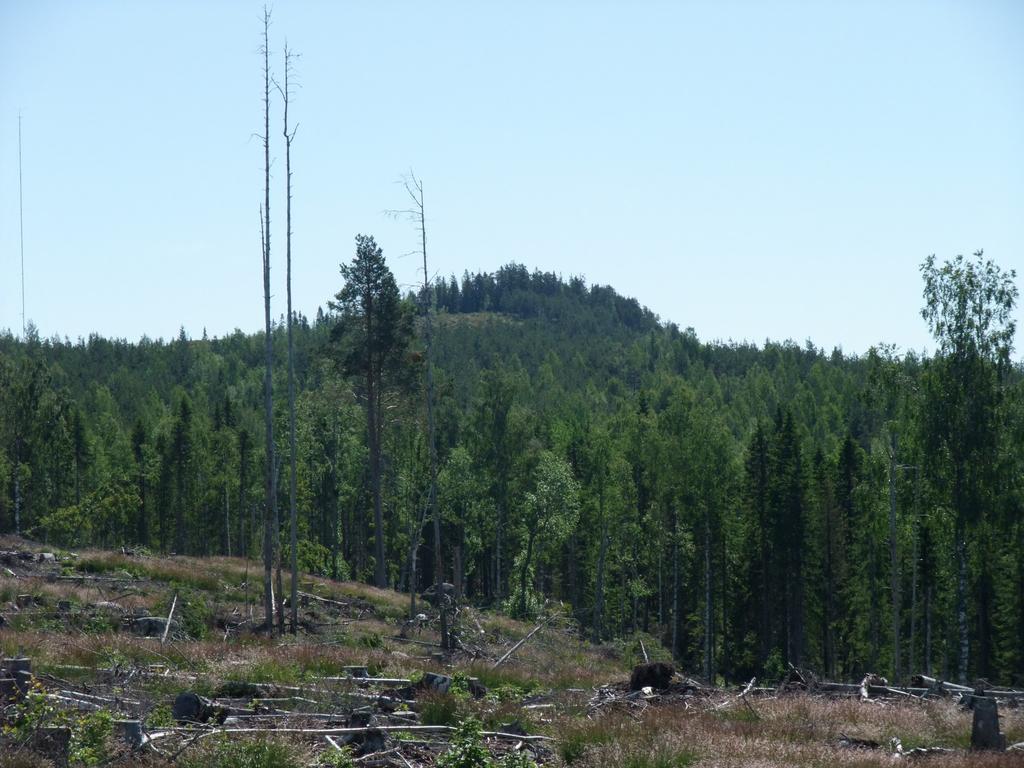 Gruppstation för vindkraft på Våsberget i Ljusdals