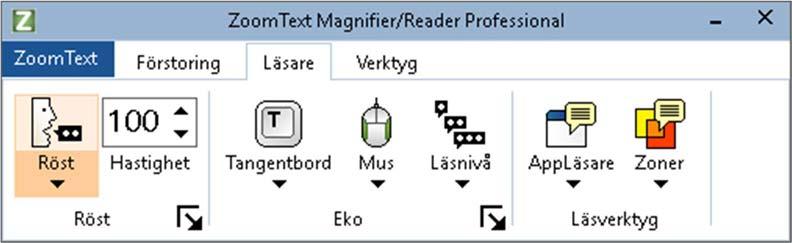 46 Navigeringsinställningar styr hur ZoomText förflyttar sig för att hålla objekten i vy, inklusive musen, textmarkören, tangentbordsfokus och andra föremål som visas och rör sig på skärmen.