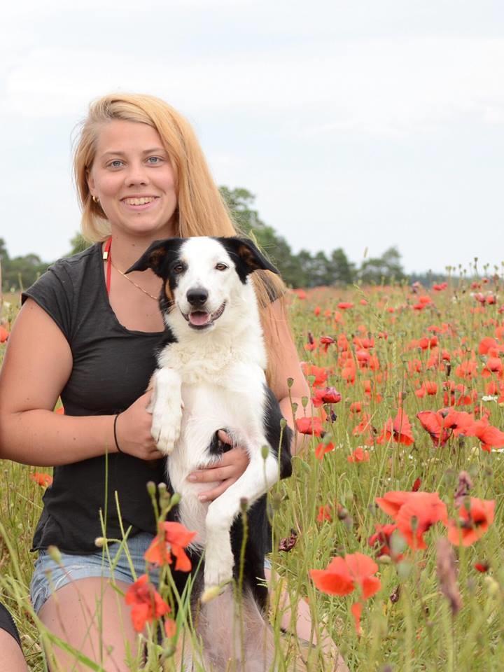 Michelle Holmlund Vallhunden Peak - Peak Ålder: 2 år Tävlar för: Danderyd-Täby BK Pickan tycker att all träning är en fest oavsett om det blir rätt eller fel