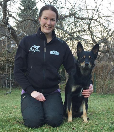 Sandra Gisslar Walkabout Myx - Myx Ras: Australian kelpie Ålder: 2,5 år Tävlar för: Väsby brukshundklubb Myx är lättlärd och otroligt rolig att träna med! Han ger allt hela tiden!