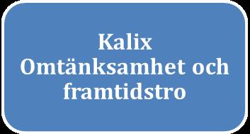 1.3 Kalix kommuns vision och mål Ett öppet, tolerant och jämlikt Kalix där alla människor ska ha