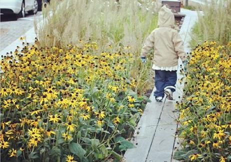 Kvarteret närmast Sarvträsk öppnar sig mot naturen och lockar in dess flora på sin gård.