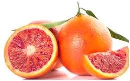 kunde förebyggas med C-vitaminrika citrusfrukter.