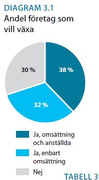 Företagens villkor och verklighet 30% av företag vill inte växa Endast 38%