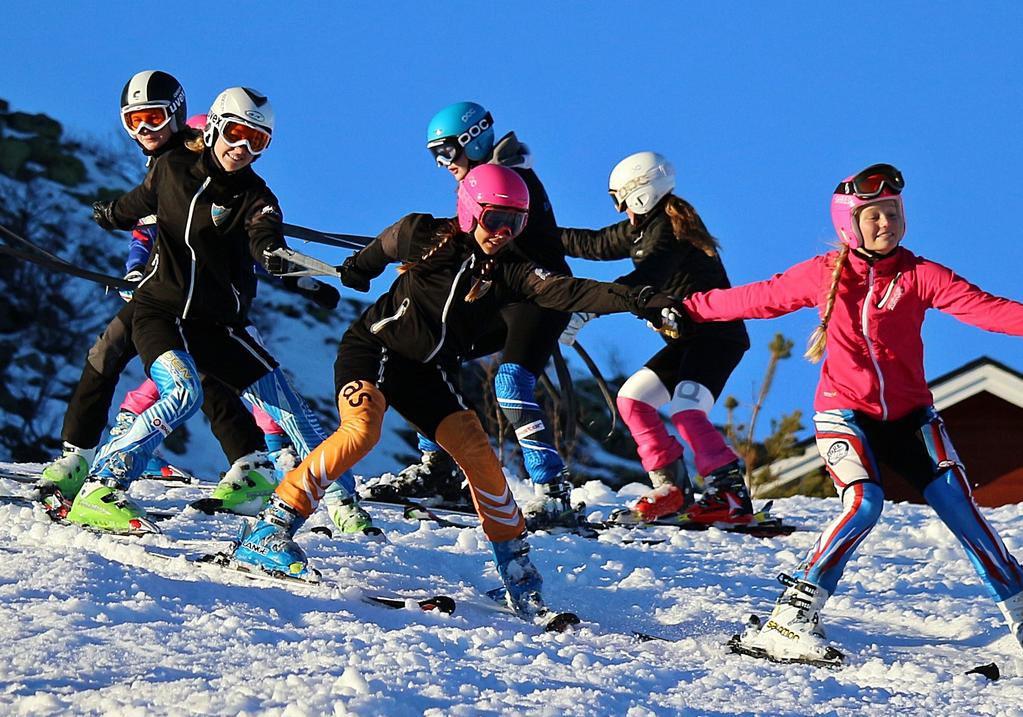 Verksamhetsberättelse 2013-2014 Tryck: Dalarnas Idrottsförbund Dalarnas Skidförbund Lugnetvägen 1, 791 31