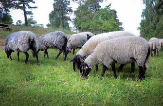 2010 bildades Trosaåns Vattenvårdsförbund där östra Sörmlands kommuner tillsammans arbetar för så god vattenkvalitet som möjligt längs med hela Trosaåns avrinningsområde.