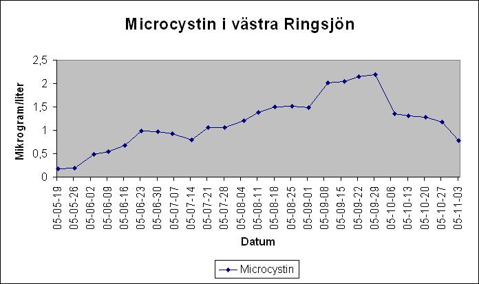 4.4.1 Microcystin 2005 Analyserna visar på ganska små mängder, med en topp på strax över 2 µgram/liter i slutet av september. Det kan jämföras med med WHOs gränsvärde för dricksvatten, 1µgram/l.