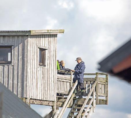 Galtabäck (Monica Ahlberg) Med en reselista på 129 arter, kryddad med några mindre vanliga fåglar, måste man säga att vi gjorde rätt bra ifrån oss med tanke