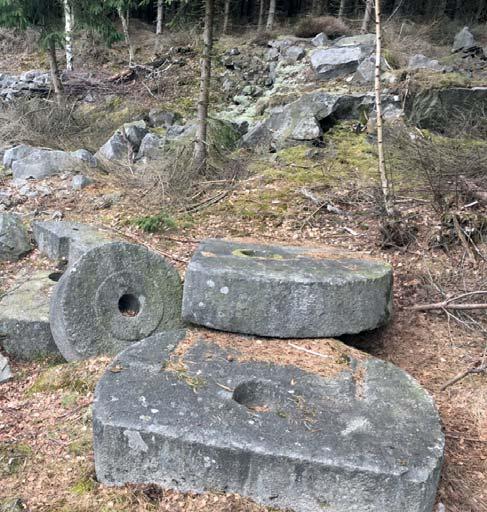 TILLGÄNGLIG NATUR MED ÖGA KVALITETER 8. Stenskogen och Nyby Stenskogen Stenskogen har fått sitt namn efter brytningen av sandsten som har pågått i området från medeltiden fram till våra dagar.