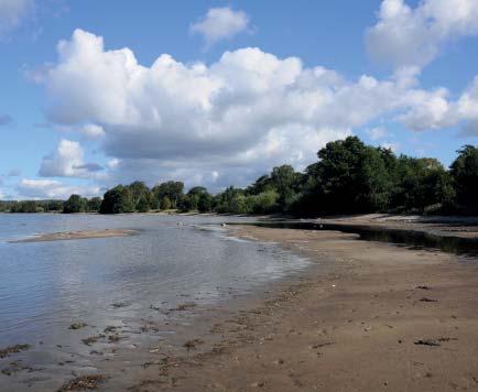 TILLGÄNGLIG NATUR MED ÖGA KVALITETER 1. Ringsjön Ringsjön är Skånes näst största sjö och består av tre vattenområden Västra Ringsjön, Sätoftasjön och Östra Ringsjön.