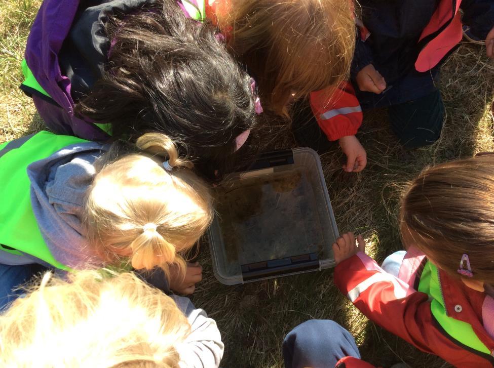 PROFIL Förskolan Ängstugan är en förskola med en profil inriktad på naturvetenskap, hållbarhet, matematik och teknik. Vår förskola finns i ett naturskönt område med mycket skog och natur runt omkring.