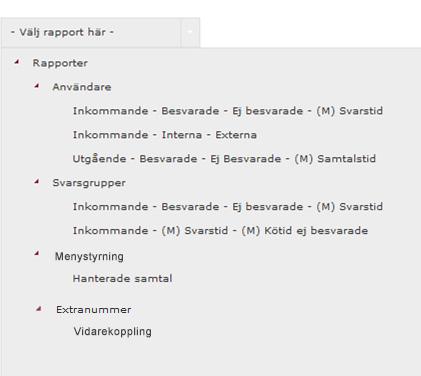 5 För att exempelvis skapa en Användarrapport, börja med att klicka på Användarsektionen för att se alla tillgängliga rapporttyper.