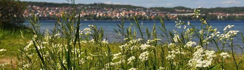 1 BAKGRUND Program för hållbar utveckling miljö utgör kommunens samlade miljömålsarbete som är ett årligt arbete med uppföljning och uppdatering av visioner, mål och åtgärder.