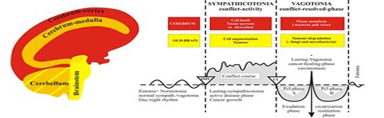 skapar störningar i organen och vävnader 9.