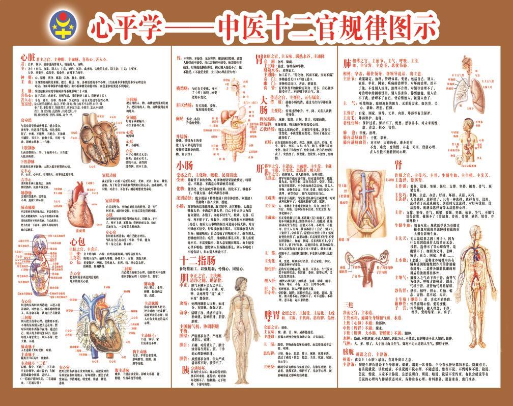 Wang Zong Ping bakgrund, Qi Gong mästare och TCM