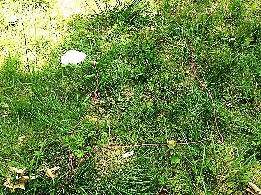 Först kommer en allmän beskrivning av området innan själva inventeringen.