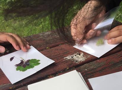 o Gruppen ska inventera floran och faunan i den lilla rutan. Iakttagelserna ska bokföras i protokollet. OBS! Glöm inte att fotografera rutorna uppifrån.