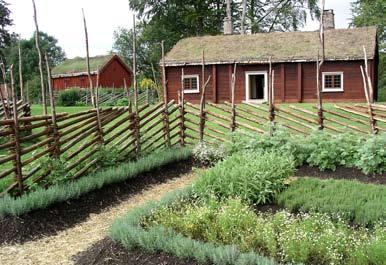 Carl von Linnés levnad Linnaeus var inte stor, inte liten, mager, brunögd. lätt, hastig, gick fort, gjorde allting promt, tålde ej sent folk; vart hastigt rörd, sensibel.