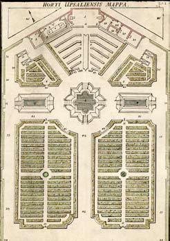 Tecknade bilder gjorda av Linné syns till vänster på hundrakronorssedel (från Præludia Sponsaliorum Plantarum, 1729).