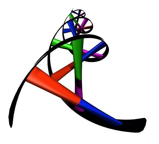 Livets spiral Modern systematik bygger idag på studier av organismernas DNA.