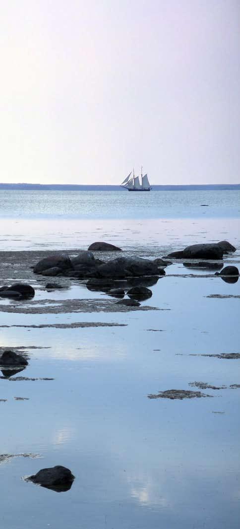 Öländska resan 1741 Ölands strand hade vi knappt rört, förrän vi märkte, att detta land var helt annorledes än de andra Sveriges provinser; satte oss därför i sinnet, att desto nogare uppteckna allt