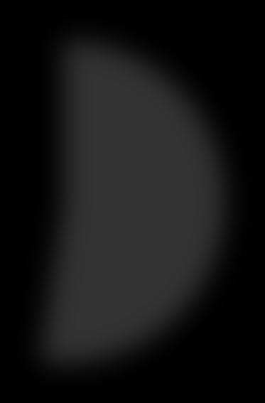 Tabell 1. Bakgrundsinformation (n = 21). n (%).