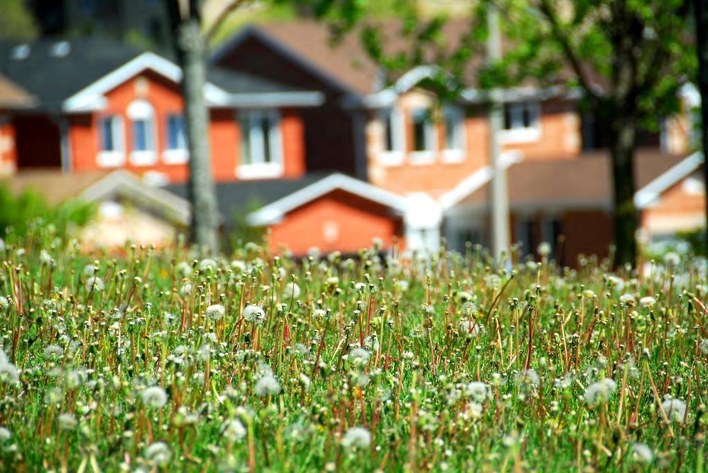 PLANBEREDSKAP OCH MARKINNEHAV Kommunens planering för bostäder Svalövs kommuns planberedskap är sett till antalet outnyttjade byggrätter relativt god och har varit så under en längre tid.