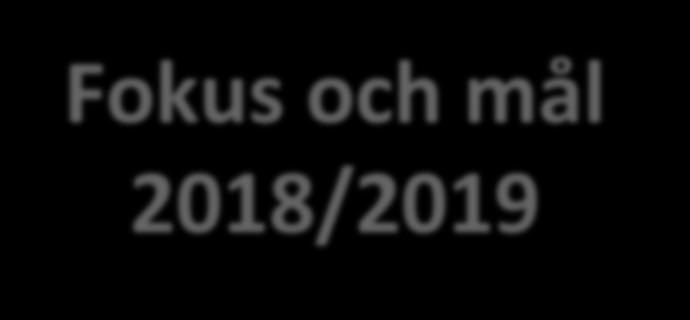 Fokus och